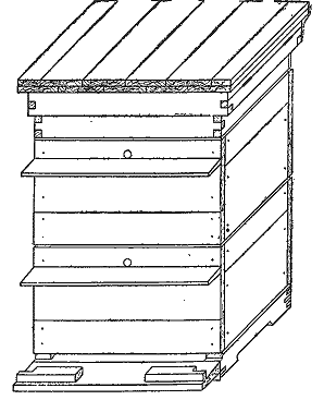 Двухкорпусный одностенный улей под стандартную рамку 435 х 300 мм (общий вид)